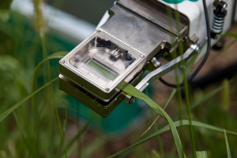 6800-12A clear-top chamber measuring a blade of grass